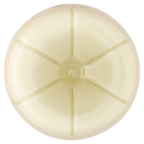 Latteria Sociale Valtellina Kefir di Montagna Bianco Senza Lattosio 480 g